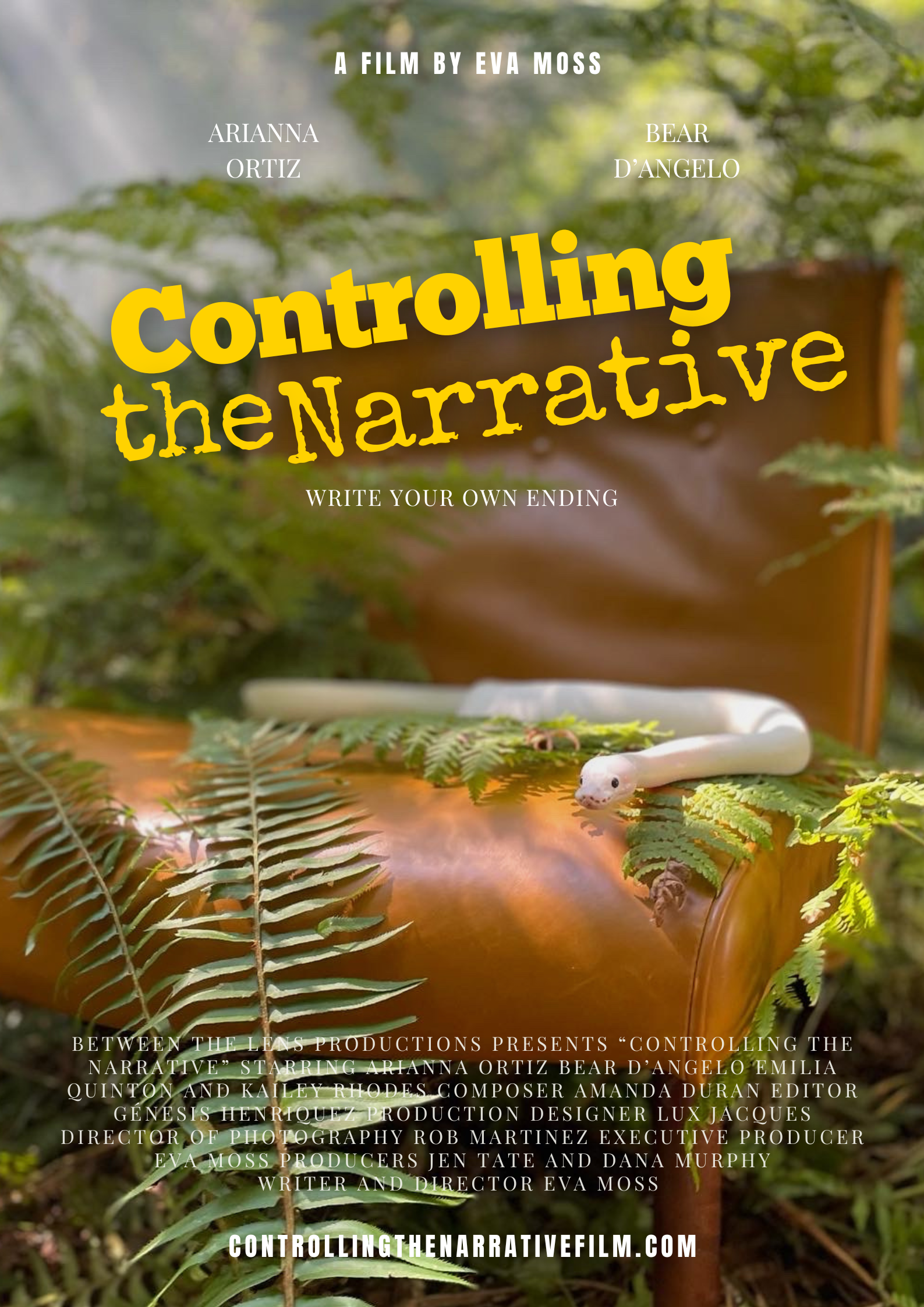 CONTROLLING THE NARRATIVE