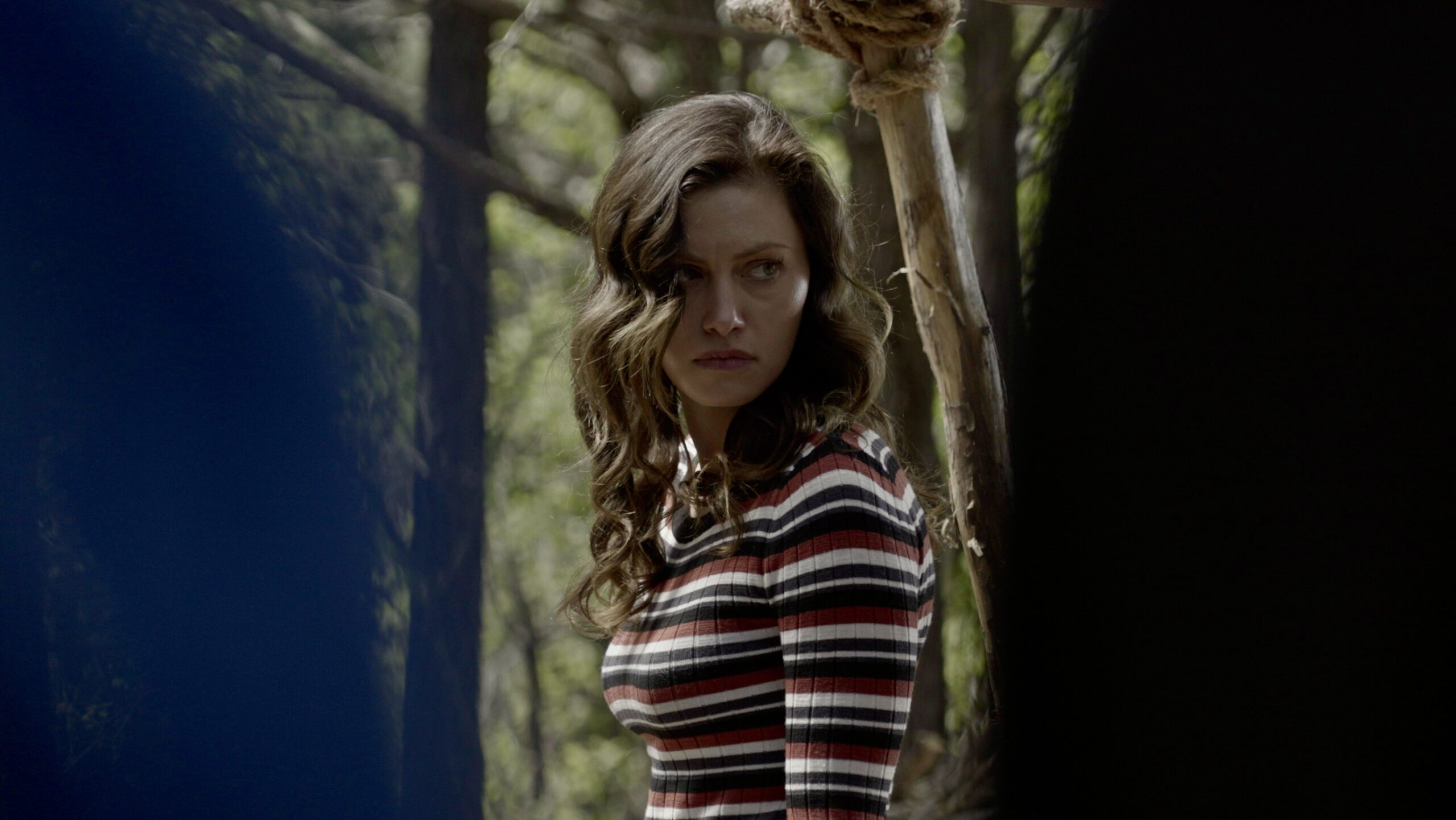 Flipping the Crime Genre Script – Suzanne Weinert